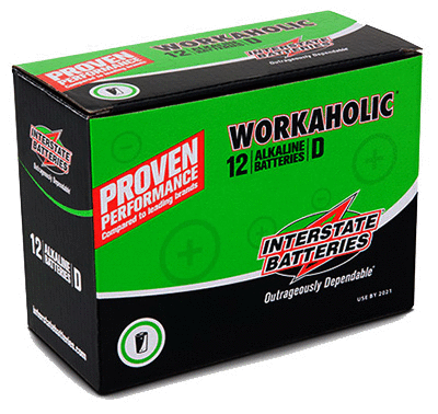 Interstate All Battery DRY0085 D-Workaholic Alkaline Battery, Pack - 12