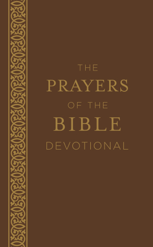 Barbour Publishing 078843 Prayers of the Bible Devotional