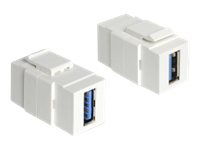 DeLOCK - Modularer Einschub (Kopplung) - SuperSpeed USB (86319)