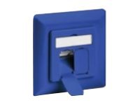 Intellinet - Wandplatte Für Die Unterputzverlegung - Rj-45 X 2 - Blau