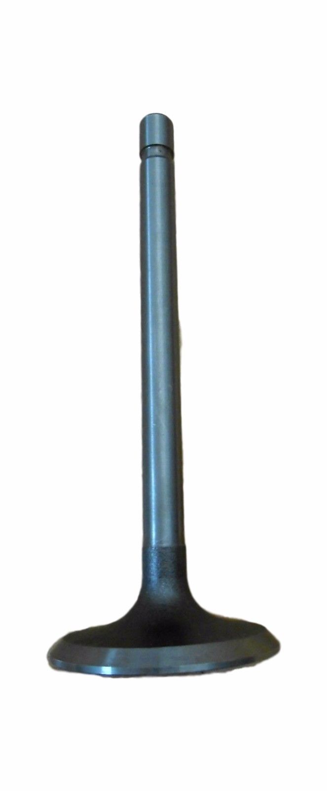 Wolverine V-2564 V 2564 V2564 12564 Engine Intake Valve