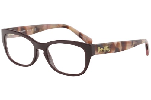Coach Eyeglasses HC6104 5509