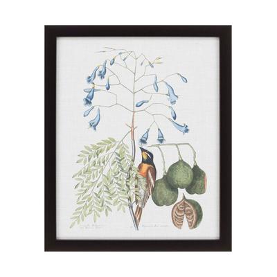 Studies in Nature II Framed Art Giclee Under Glass - Green