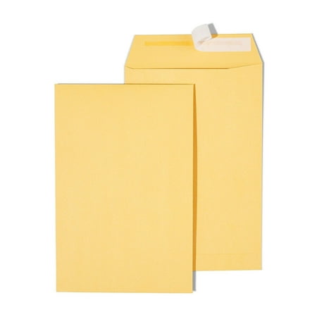 EasyClose Catalog Envelope 6  X 9  Kraft 100/Box (20140) 892100