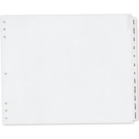 5797 Monthly Index Divider 12 X 11