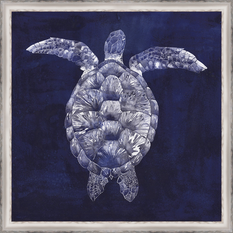 4542 1 in. Custom Sea Turtle Shadow I, Framed Giclee Canvas Art