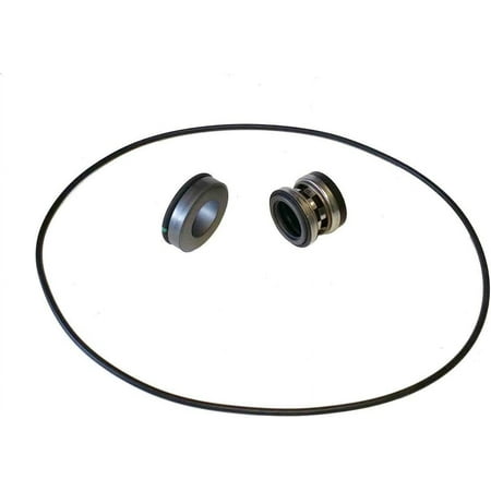 Life Guard Silicon Carbide Seal Kit (9302 & 9303 Models)(3430-0589)