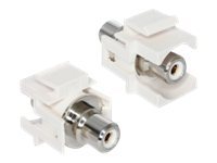 DeLOCK - Modularer Einschub (Kopplung) - RCA - Weiß (86307)
