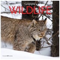 2019 Wildlife Wall Calendar, by Wyman Publishing