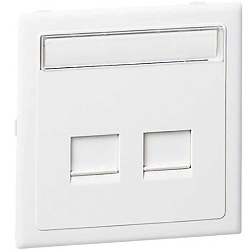 Schneider Electric 5970090 Einbaudose Datentechnikmodul 1 St.