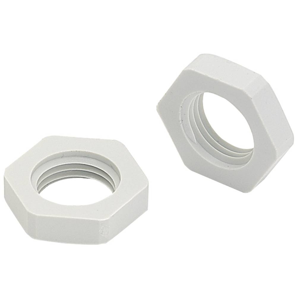 BOPLA 52080500 Locknut PG16 Polyamide RAL 7035 Grey-white 1pc