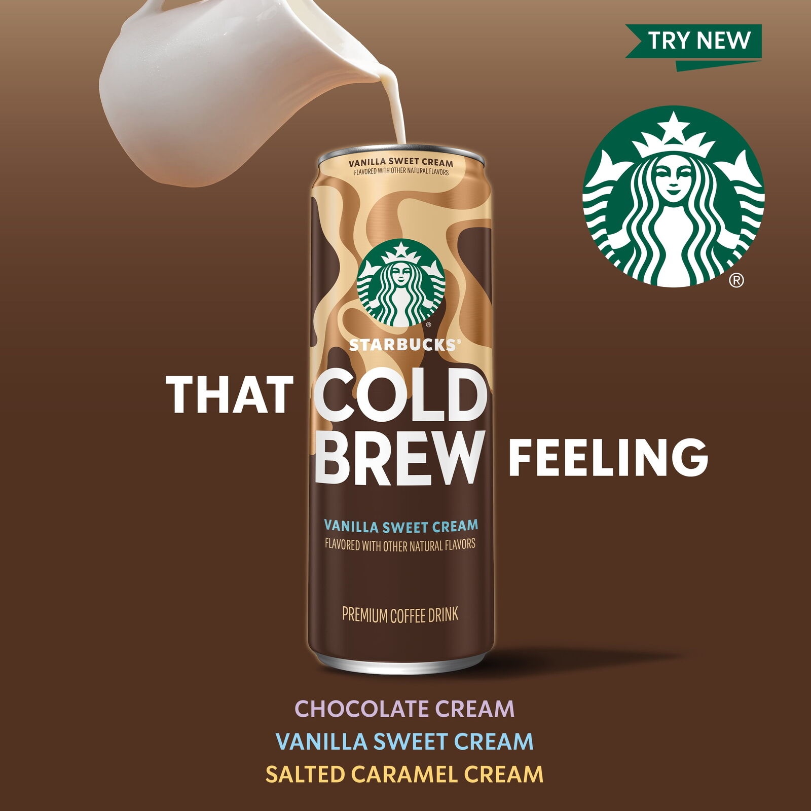 Starbucks Cold Brew Coffee Salted Caramel Cream 11fl Oz Cans 12 Pack Lced Coffee thumbnail
