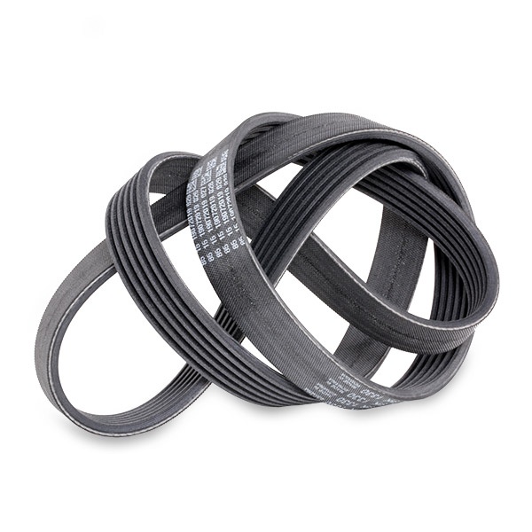 SWAG 10 93 9797 V-ribbed Belt