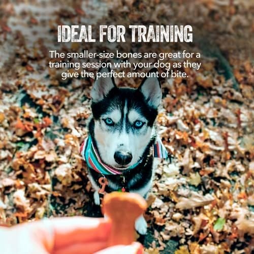 Gaines Family Farmstead Sweet Potato Dog Bones  100% Natural Treats for Small & Large Dogs  Rawhide Alternative for Dog Training (32 Oz. Bag) thumbnail