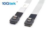10Gtek 6G Internal Mini SAS SFF-8087 to SFF-8087 Cable, 100-Ohms, 0.5-m(1.6ft), 2 Pack