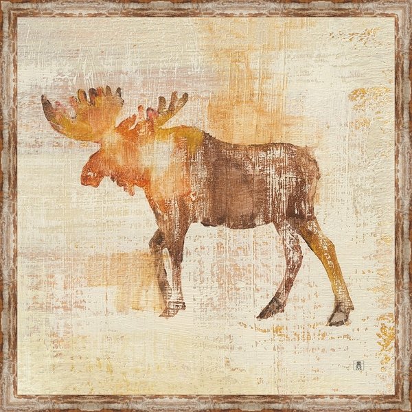Moose Study Framed Canvas Wall Art
