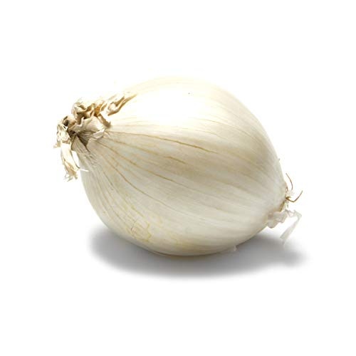RIOUSV Organic White Onion, 1 Each