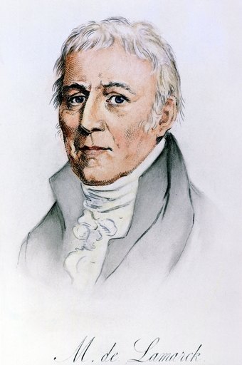 Chevalier De Lamarck N(1744-1829) Jean Baptiste Lamarck French Naturalist French Etching 19Th Century Rolled Canvas Art