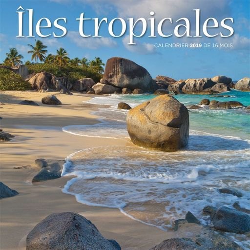 BrownTrout - Calendrier Mural CarrÃ©, Iles Tropicales 2019, 7 Po X 7 Po, FranÃ§ais (9781525602696) | BrownTrout Publishers