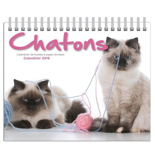 2019 Chatons Double Easel Calendar (French), by Wyman Publishing