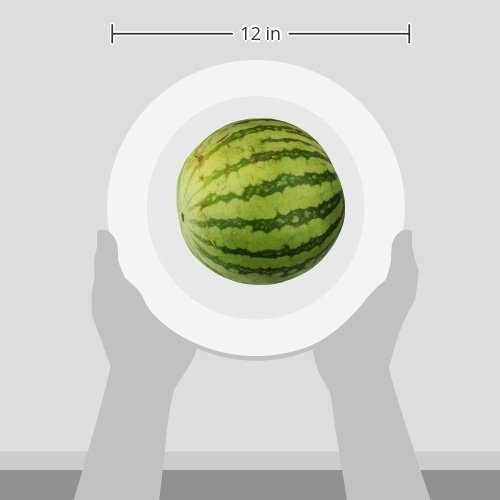 Mini Seedless Watermelon, 1 Each thumbnail