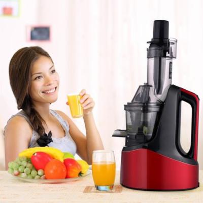 Masticating Slow Juicer 1.2L Electric Juice Extractor Fruit & Vegetable Juicer Machine
