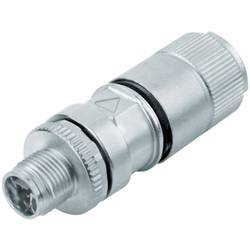 Binder 99 3787 810 08 Sensor/stlldon-kontakt, Okonfektionerad M12 Kontakt Hane Rak 2.00 M Antal Poler (RJ): 8 20 St