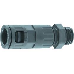LAPP 61801135 SILVYNÂ® KLICK GPZ PG 9 BK Schlauchverschraubung Schwarz PG9 Gerade 20 St.
