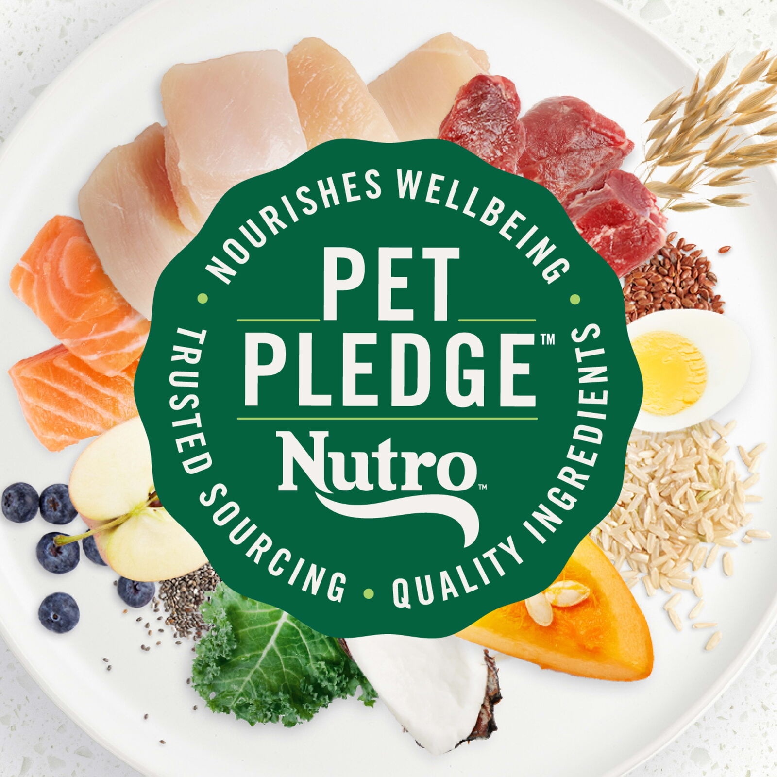 Nutro Ultra Adult Small Breed Dry Dog Food  Chicken  Lamb and Salmon Protein Trio  3.5 Lb Bag thumbnail