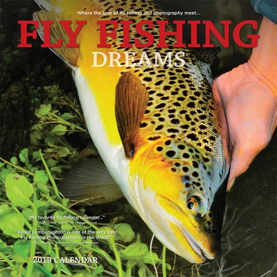 2019 Brown Trout 12