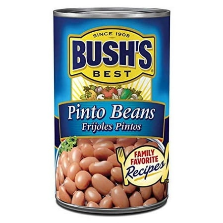 BUSH S BEST 16 Oz Canned Pinto Beans  Source of Plant Based Protein and Fiber  Low Fat  Gluten Free  Great for Soups  Salads and More  (Pack of 12)