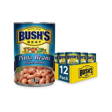 Bush S Best Canned Pinto Beans (Pack of 12)  Source of Plant Based Protein and Fiber  Low Fat  Gluten Free  Great for Soups  Salads and More  16 Oz