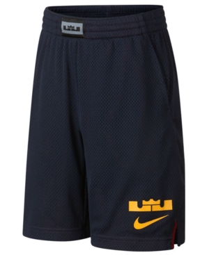 Nike Big Boys Dry LeBron Graphic Shorts - Blue M (10/12)