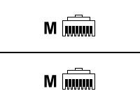 Roline, 1 M Cat6a Ethernet Cable, Black, Shielded 8 Screened Low Smoke Zero Halogen Sheath