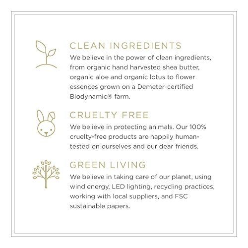 Zents Hand and Body Wash (Water Fragrance) Moisturizing Anti-Aging Cleanser with Organic Shea Butter & Aloe for Dry Skin  10 Fl Oz thumbnail