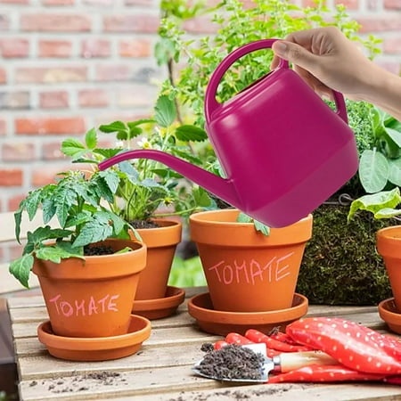 FIGT-Plant Watering Can 1 Gallon for Indoor Outdoor Plants  Garden Long Spout Watering Cans with Handle  Plastic Watering Can for Garden Yard Path Pla
