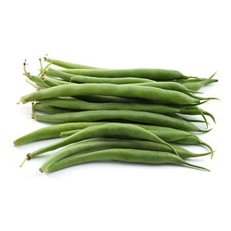 Green Bean Seeds for Planting - Provider - Bush Bean - 50 Seeds - Heirloom Non-GMO Vegetable Seeds for Planting