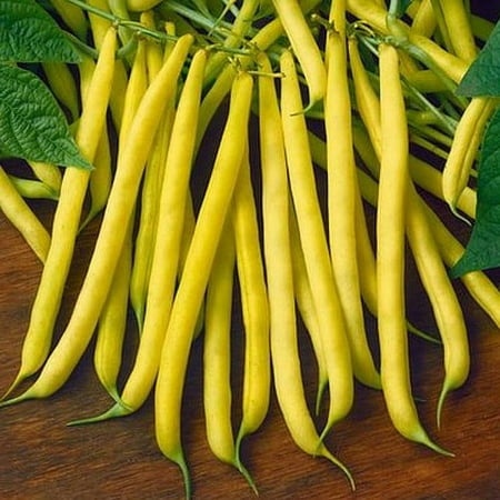 Golden Wax Bush Bean Seeds - 500 Count Seed Pack - a Favorite Among Home Gardeners for It S Delicious Buttery Flavor - Country Creek LLC