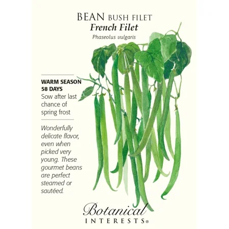 French Filet Bush Bean Seeds - 20 Grams