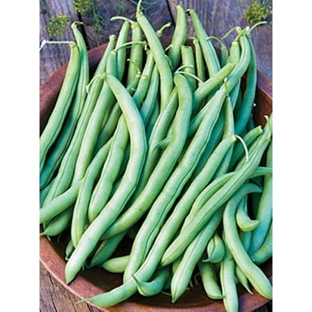 (2-Pack) Blue Lake 274 Bush Bean Heirloom Garden Seeds Non-GMO