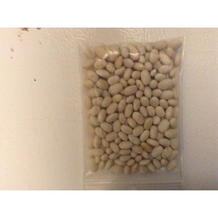 Strike Bush Green Beans. FREE SHIPPING. NON-GMO SEEDS. 400 Count.