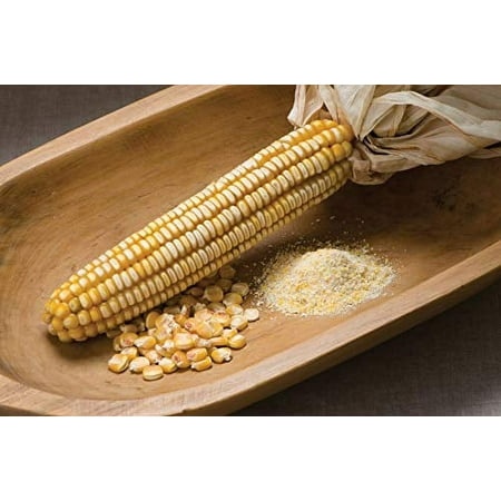 Corn Dent Nothstine FBA-9335 (Yellow) 100 Non-GMO  Heirloom Seeds