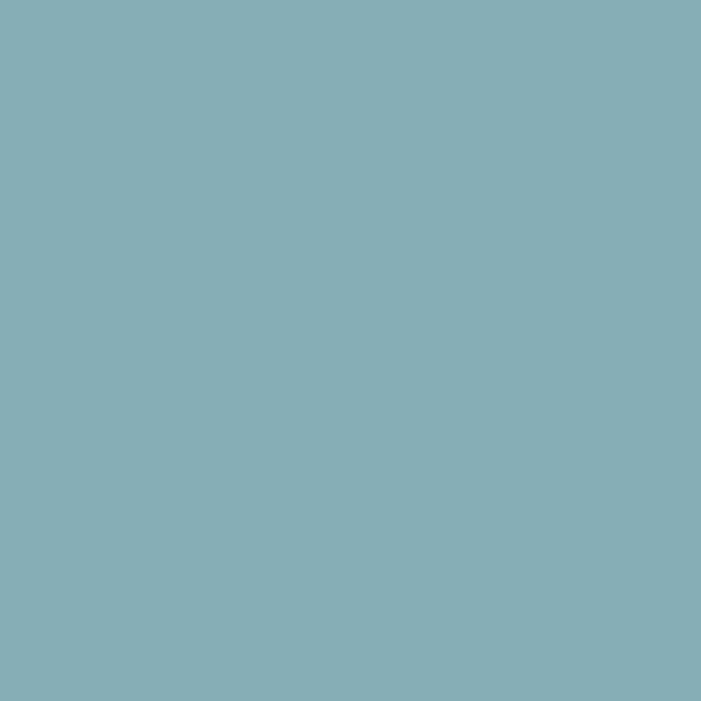 CICLORAMA Savage 02-1253 FONDO DE PAPEL SKY BLUE (1.35 X 11M)