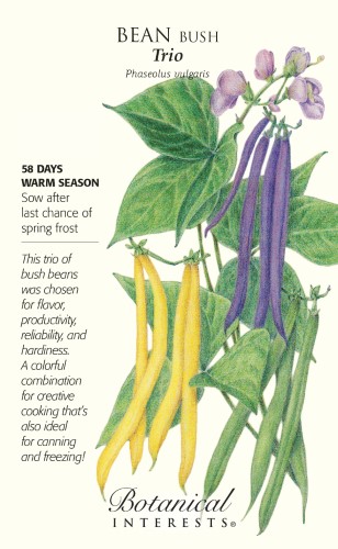 Trio Bush Bean Seeds - 60 Grams - Snap Bean
