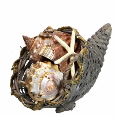 Seashell Cornucopia Basket Centerpiece Horn of Plenty Thanksgiving Table Decor