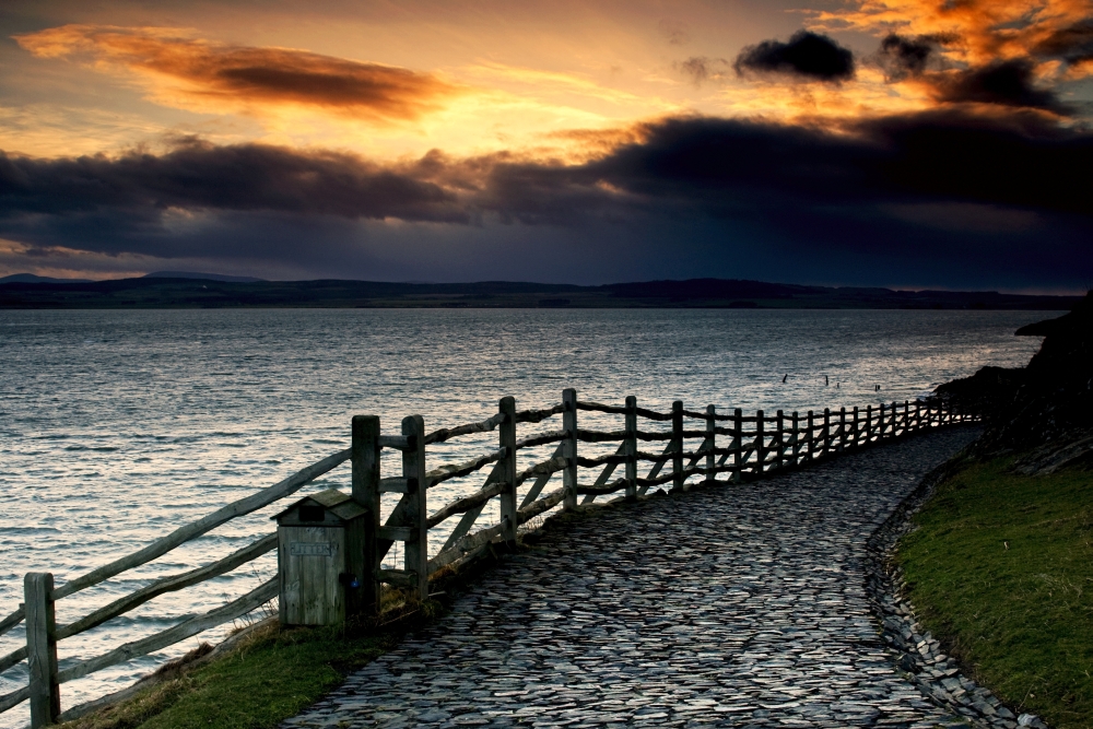 DPI1826222 Path Along the Water Holy Island Berwick Northumberland England Poster Print by John Short, 17 X 11