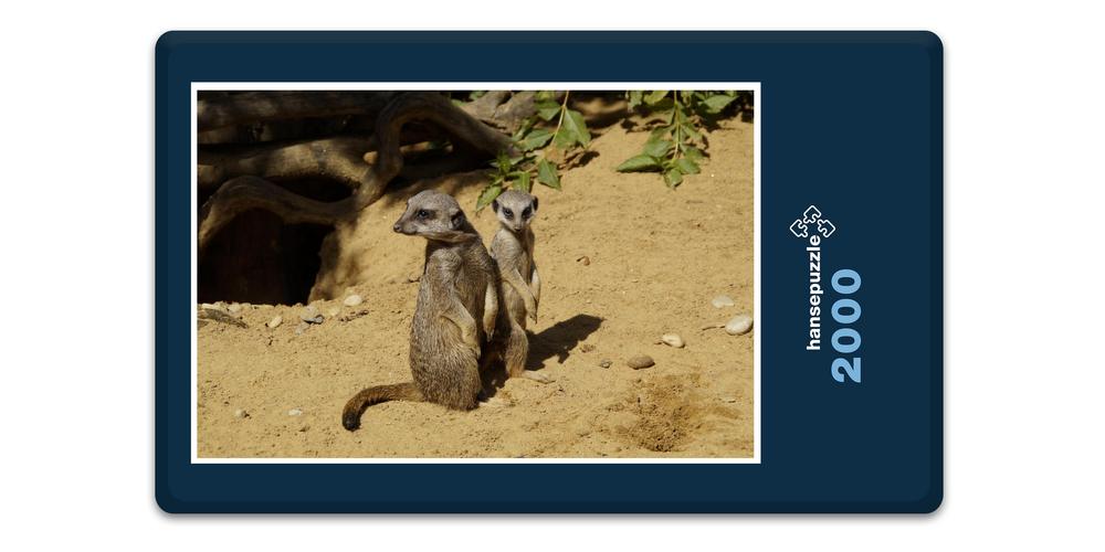 Hansepuzzle 15075 Tierwelt - Erdmännchen, 2000 Teile