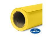 Savage Widetone Seamless Background Paper, 53' Wide X 36, Canary, #38 #38-1253