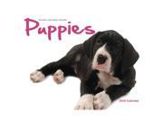 Puppies Double View Easel Calendar by Wyman Publishing