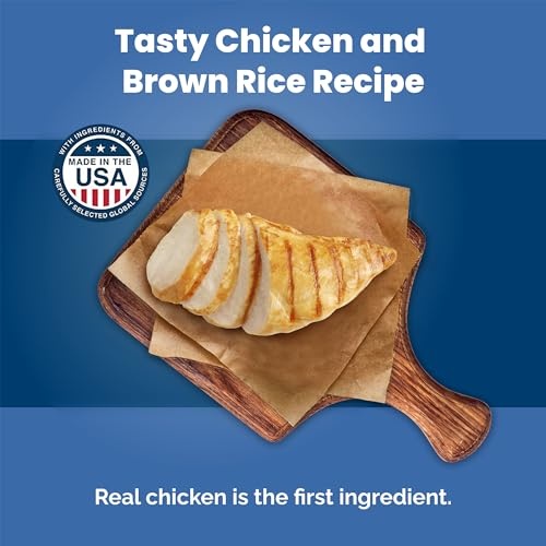 Blue Buffalo Life Protection Formula Adult Small Breed Dry Dog Food, Supports High Energy Needs, Made with Natural Ingredients, Chicken & Brown Rice R thumbnail